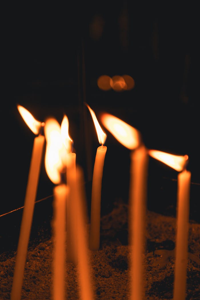 pexels photo 34276777.jpeg